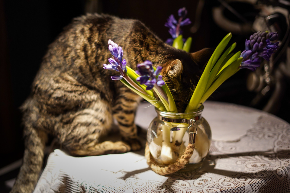Thirsty