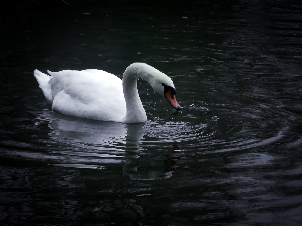 Cold and rainy