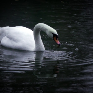 Cold and rainy