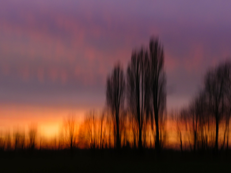 Spring sunset