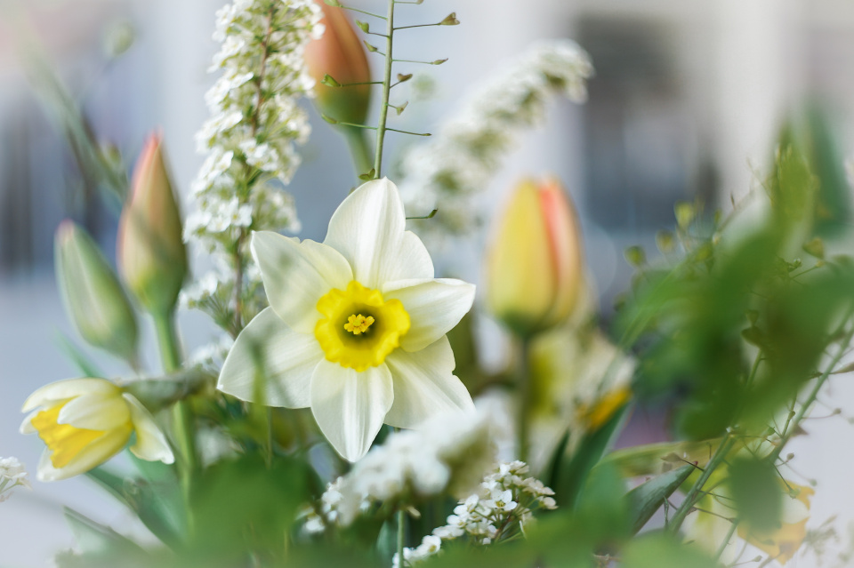 Happy Easter