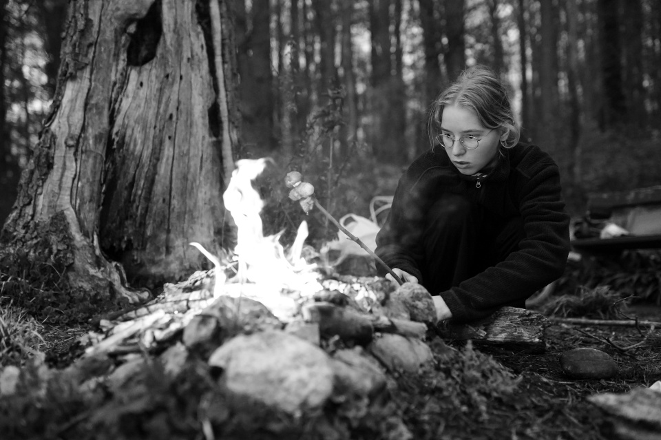A little fire in the woods