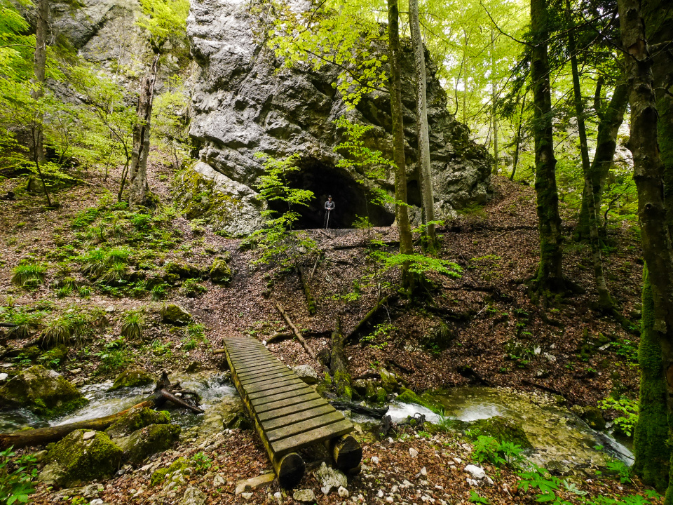 Wolf's gorge hike
