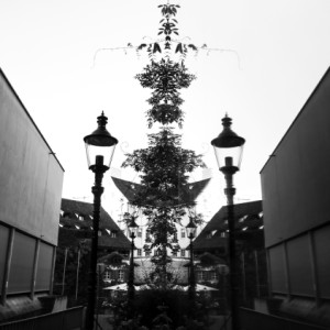 Symmetry