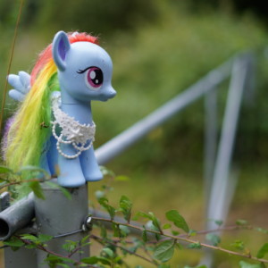 A lost toy