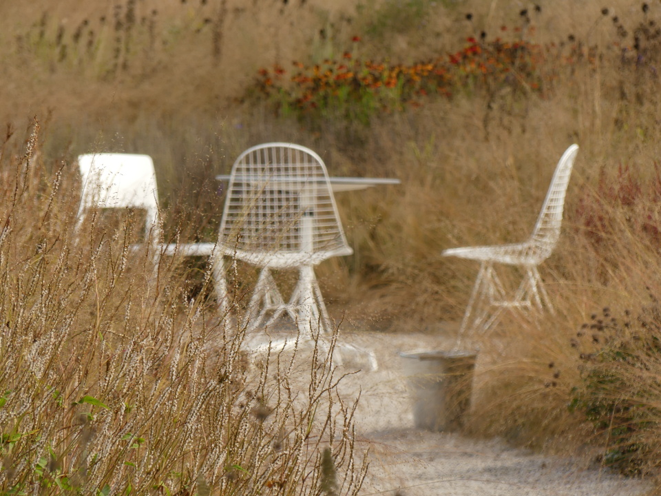 A quiet place?