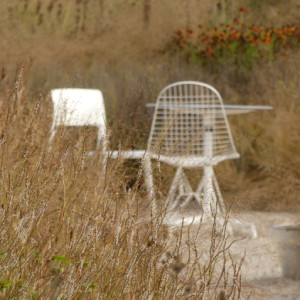 A quiet place?