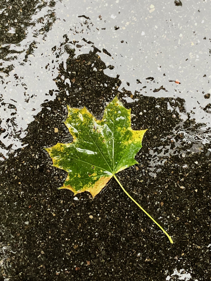 Autumn is here