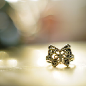 A butterfly