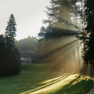Morning light