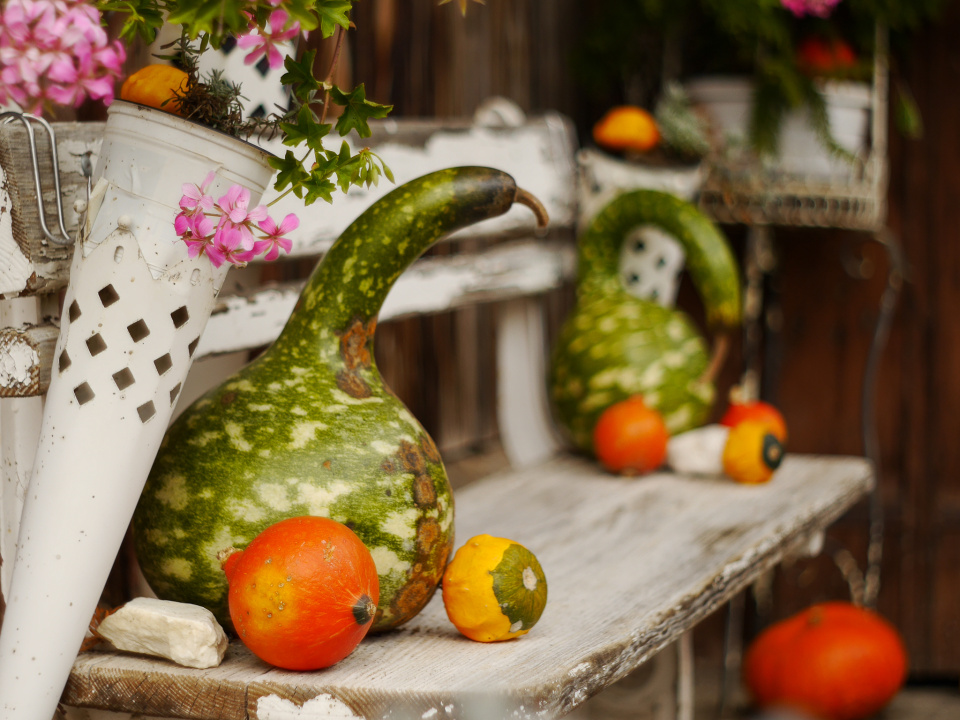 Autumn decorations