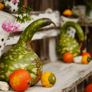 Autumn decorations