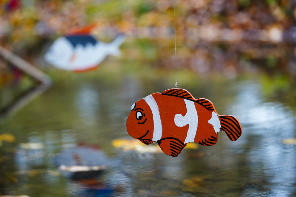 Finding Nemo
