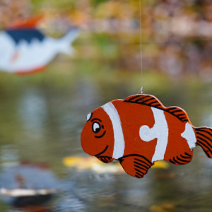 Finding Nemo