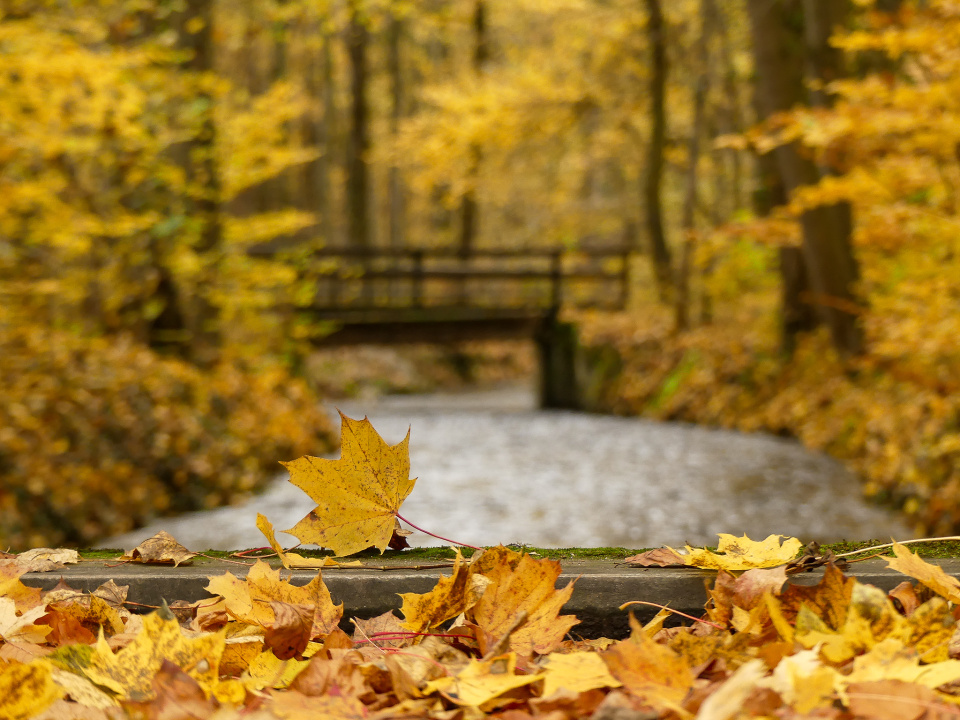 Yellow world