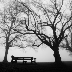 A foggy walk