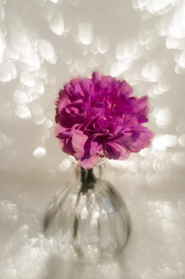 Flower Friday