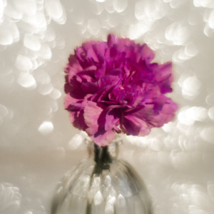 Flower Friday