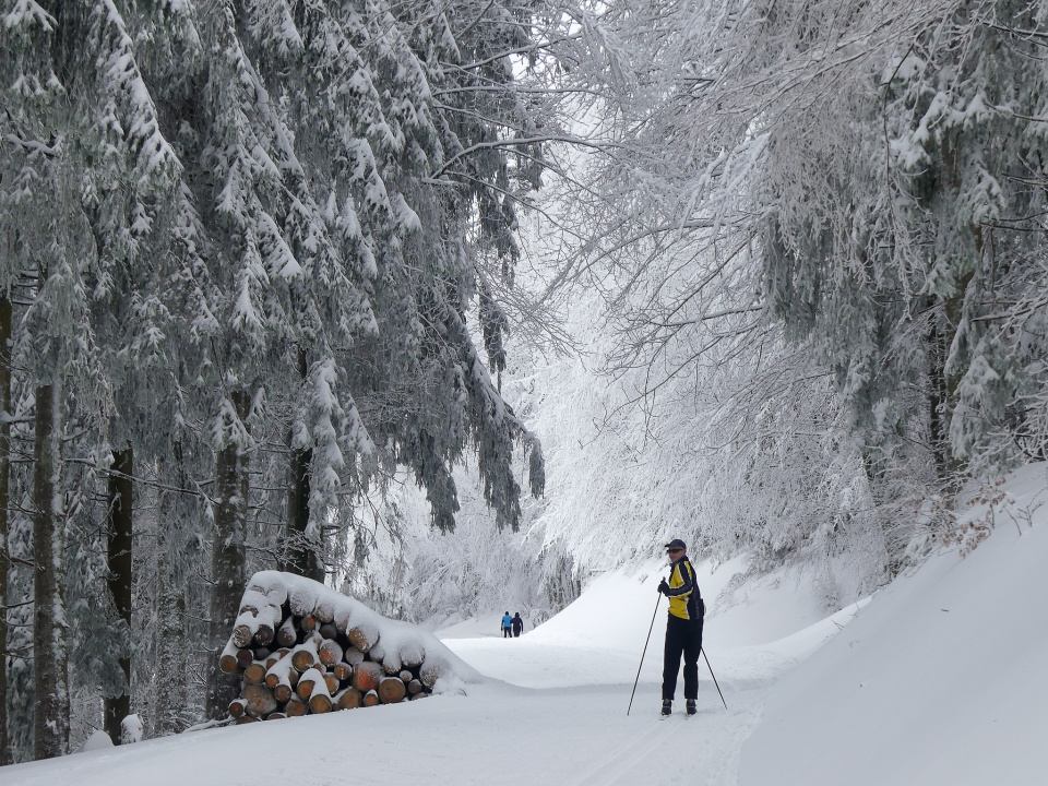 Crosscountry skiing