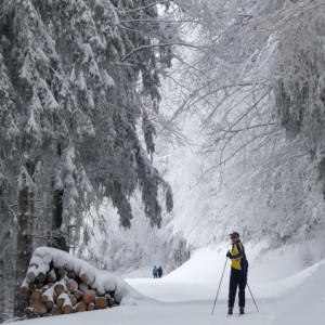 Crosscountry skiing