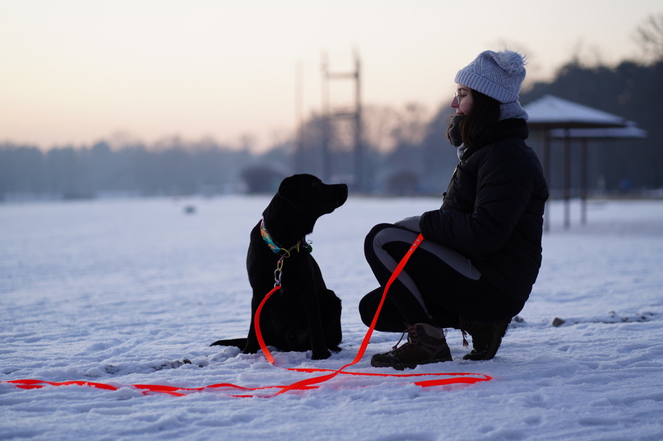 Winter walk