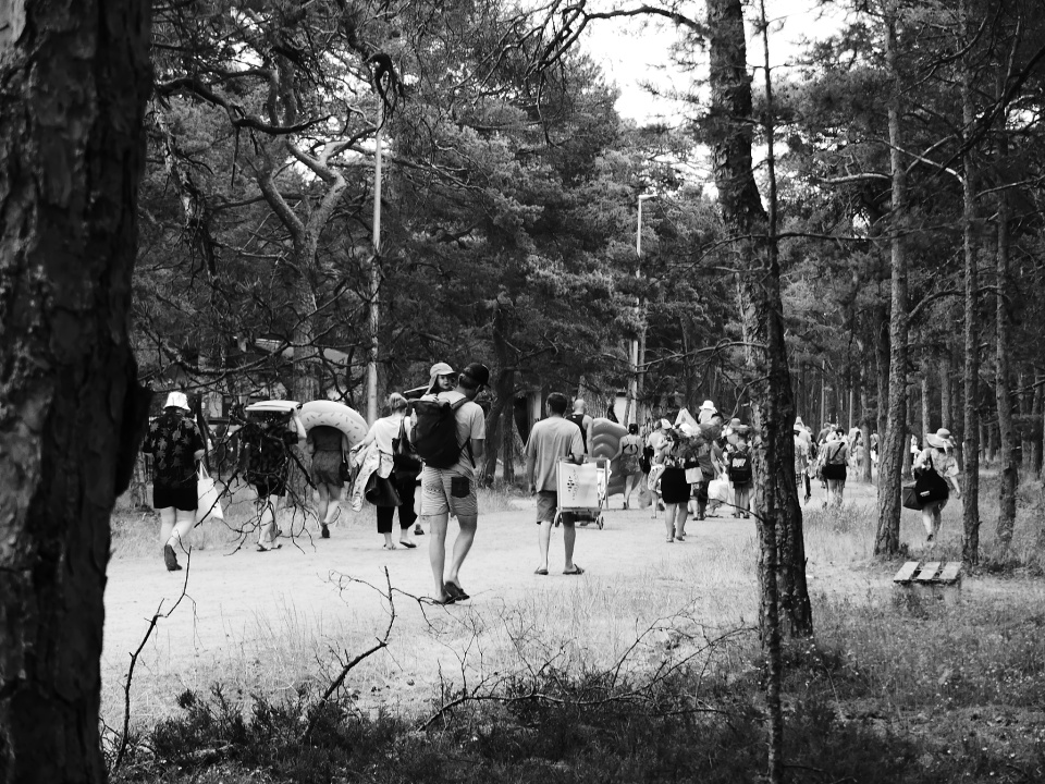 A mass exodus