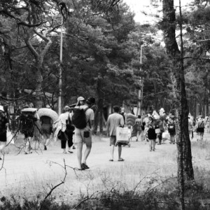 A mass exodus