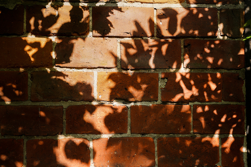 Shadows