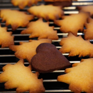 Getting ready for Xmas