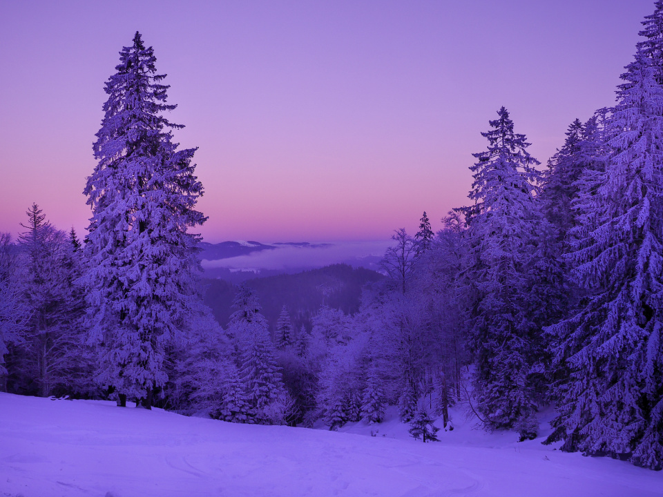 Winter sunset