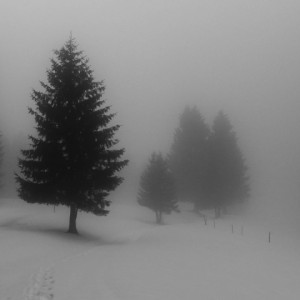 Cross country skiing