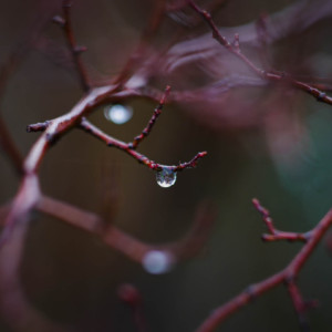 Rainy day