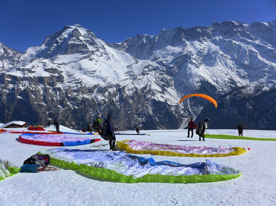 Paragliders
