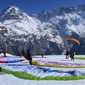Paragliders