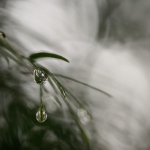 Rain again