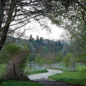 Evening walk