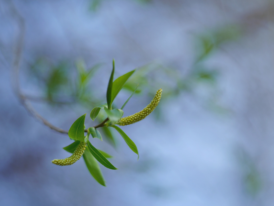 It's getting green!