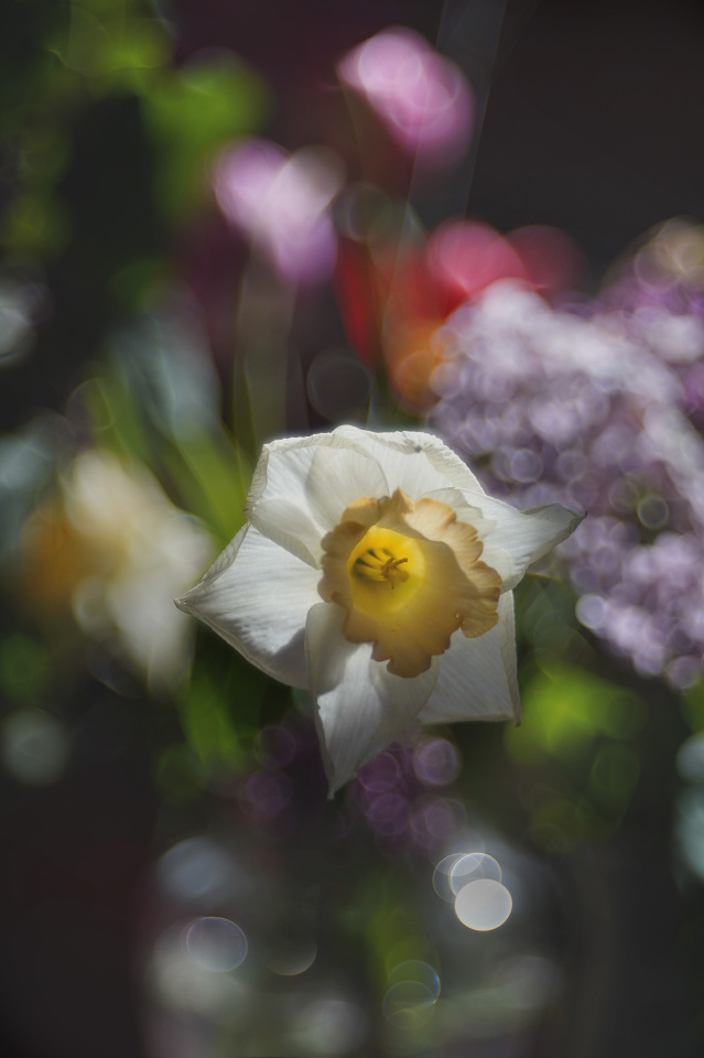 My Easter bouquet