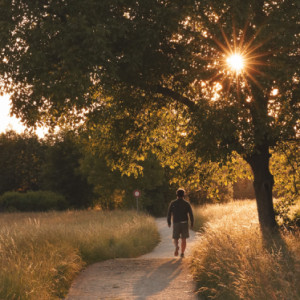 Evening walk