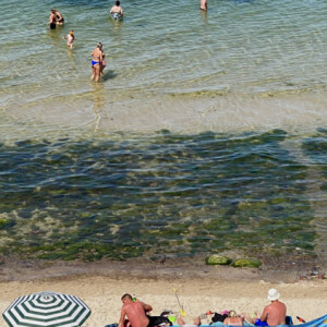 Another day on the beach