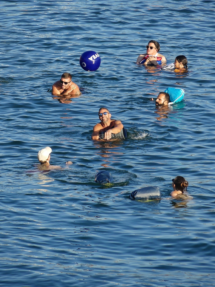Rhine swim