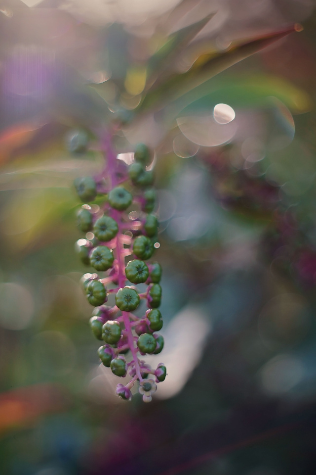 Raindrops and sunlight