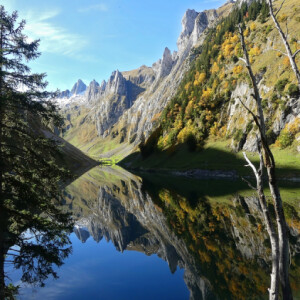 Mirror lake