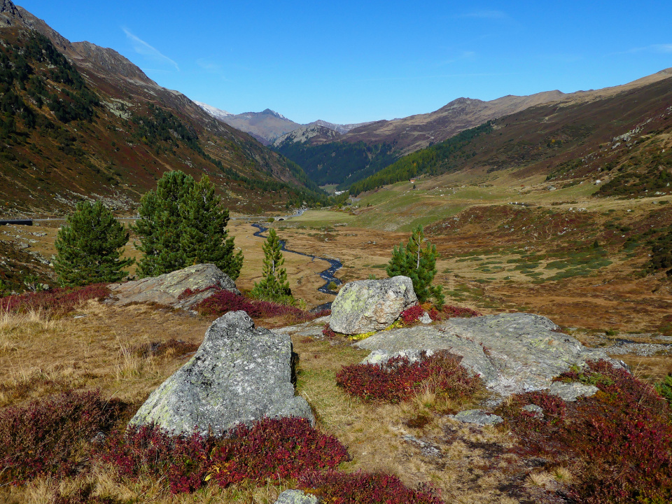 Autumn in the Alps