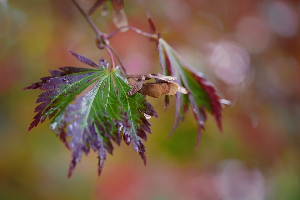 Colourful autumn