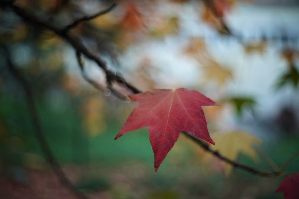 A bit of colour