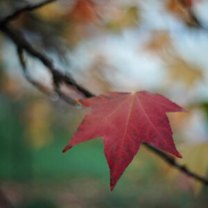 A bit of colour