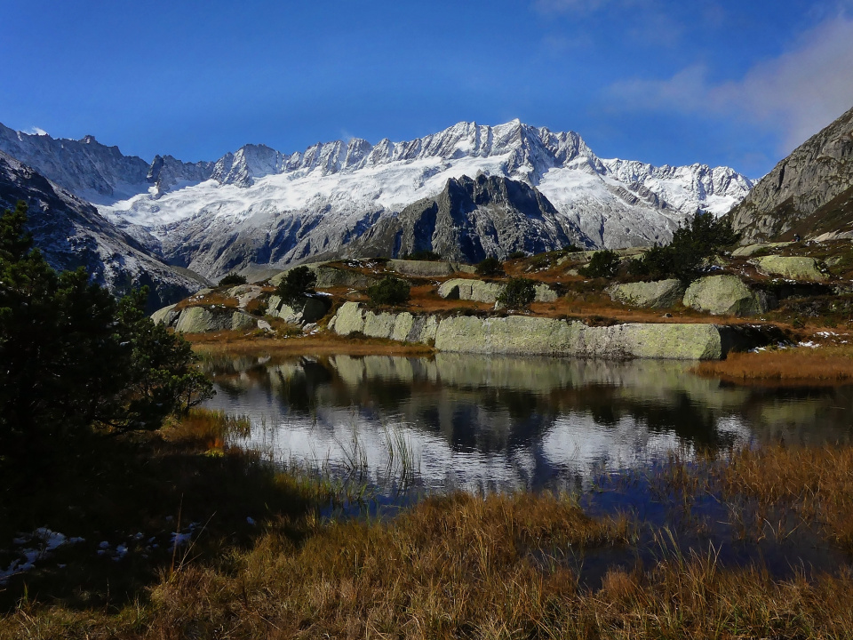 Autumn in the Alps