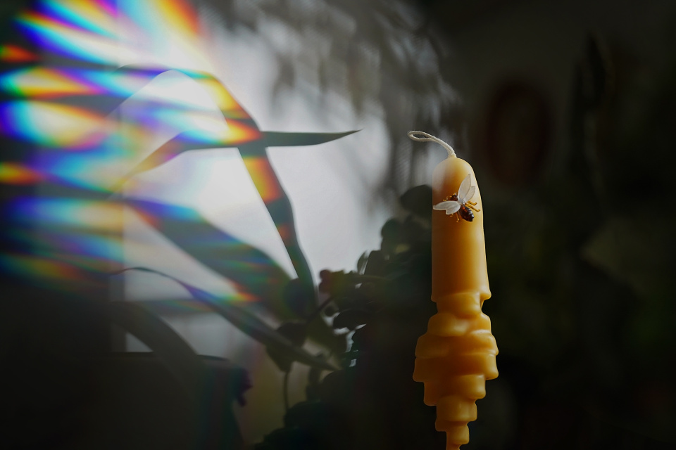 DIY beeswax candle