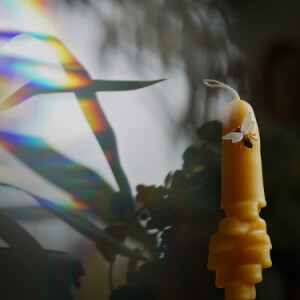 DIY beeswax candle